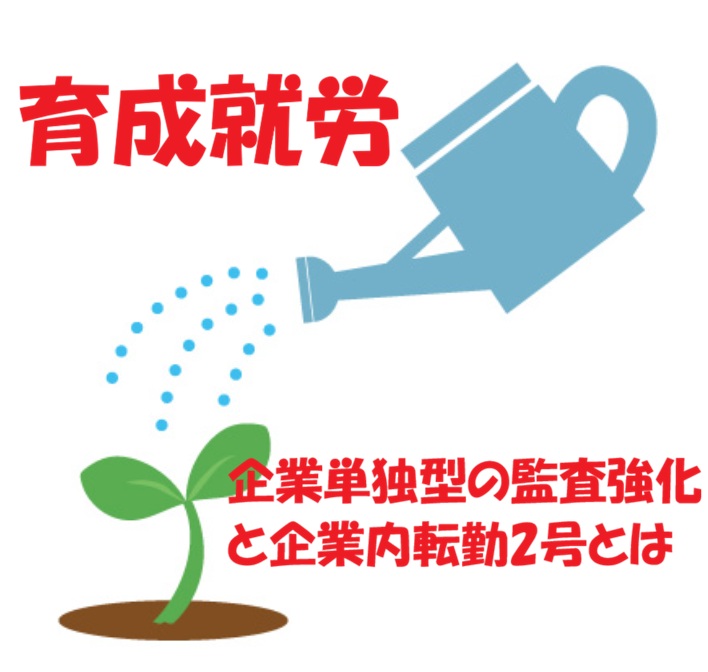 企業単独型の監査強化と企業内転勤2号とは
